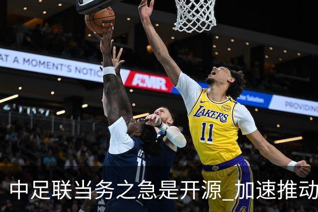 中足联当务之急是开源 加速推动中国足球职业化